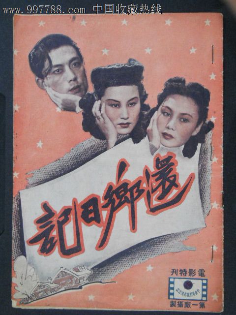 利默里克大学学士成绩单